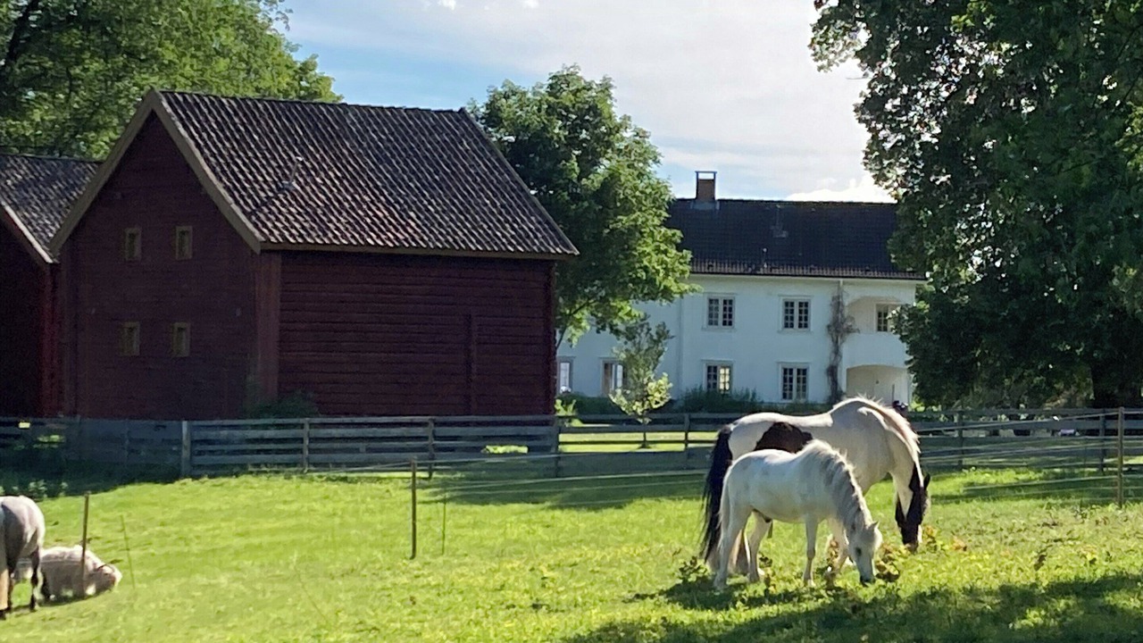 Photo of Others in Jevnaker