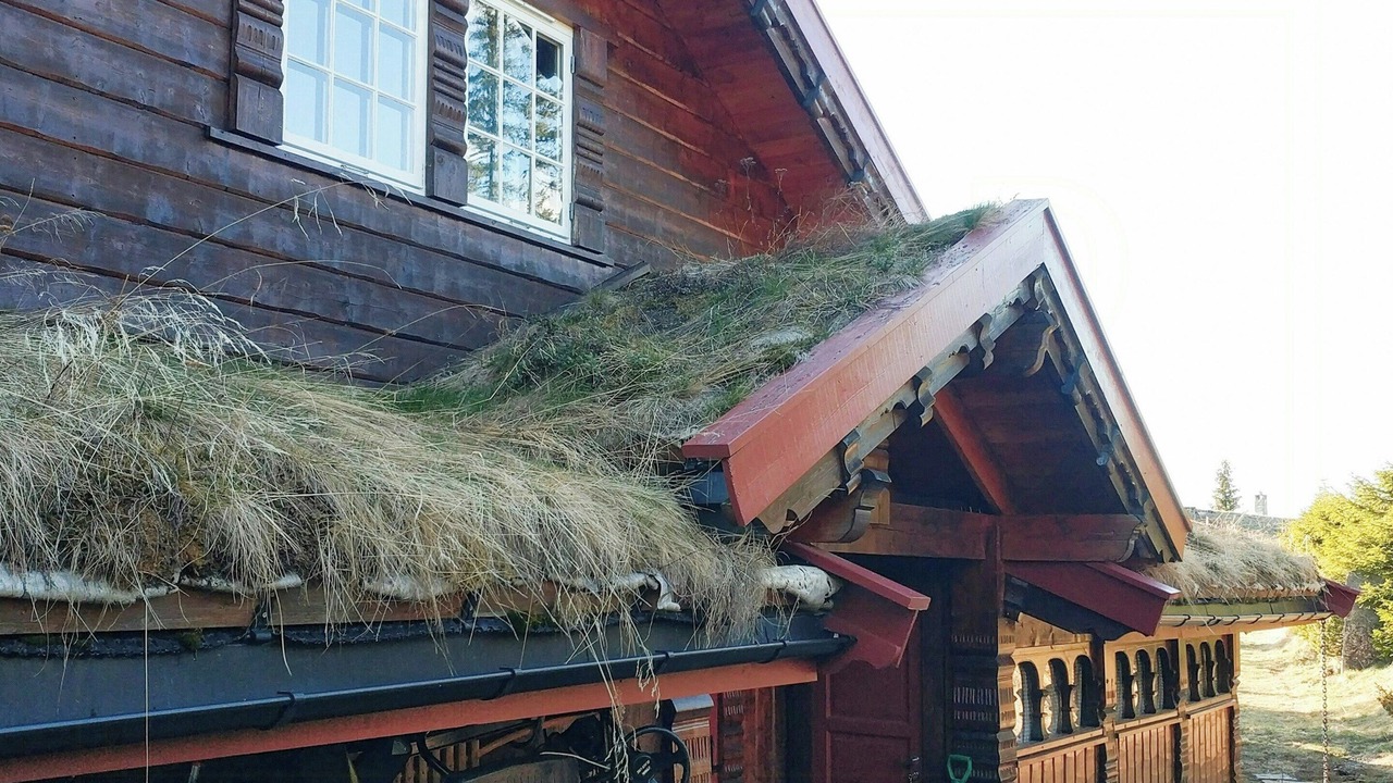 Photo of Outdoor in yer