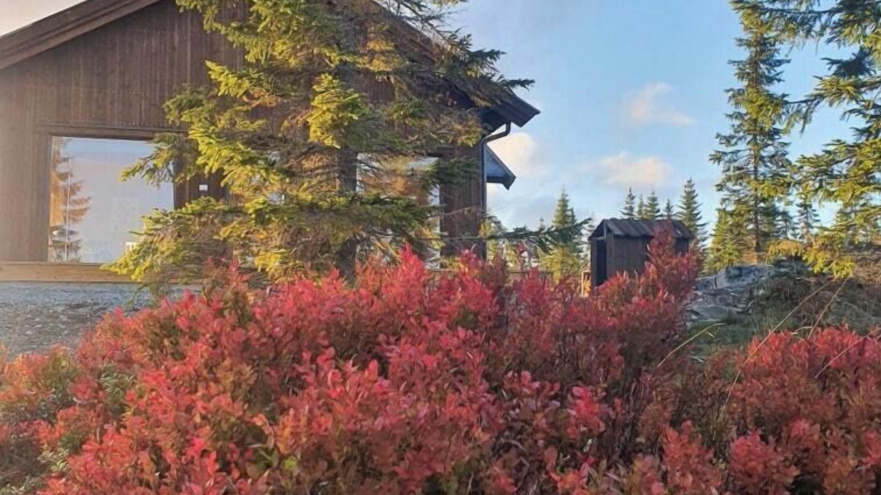 Photo of Outdoor in Gran