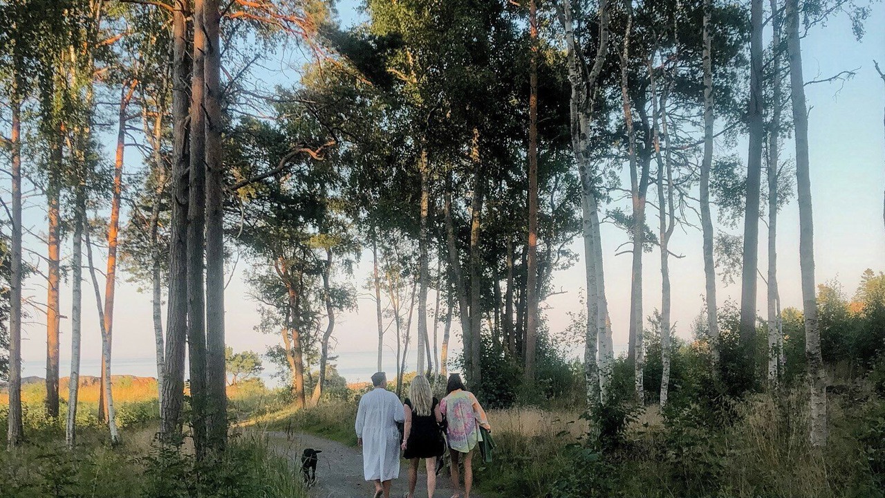 Photo of Others in Vaddo