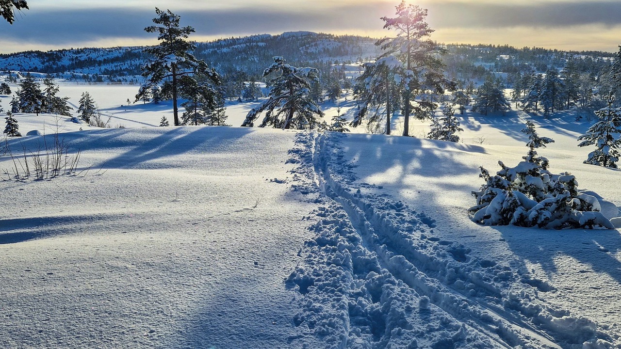 Photo of Others in Nissedal