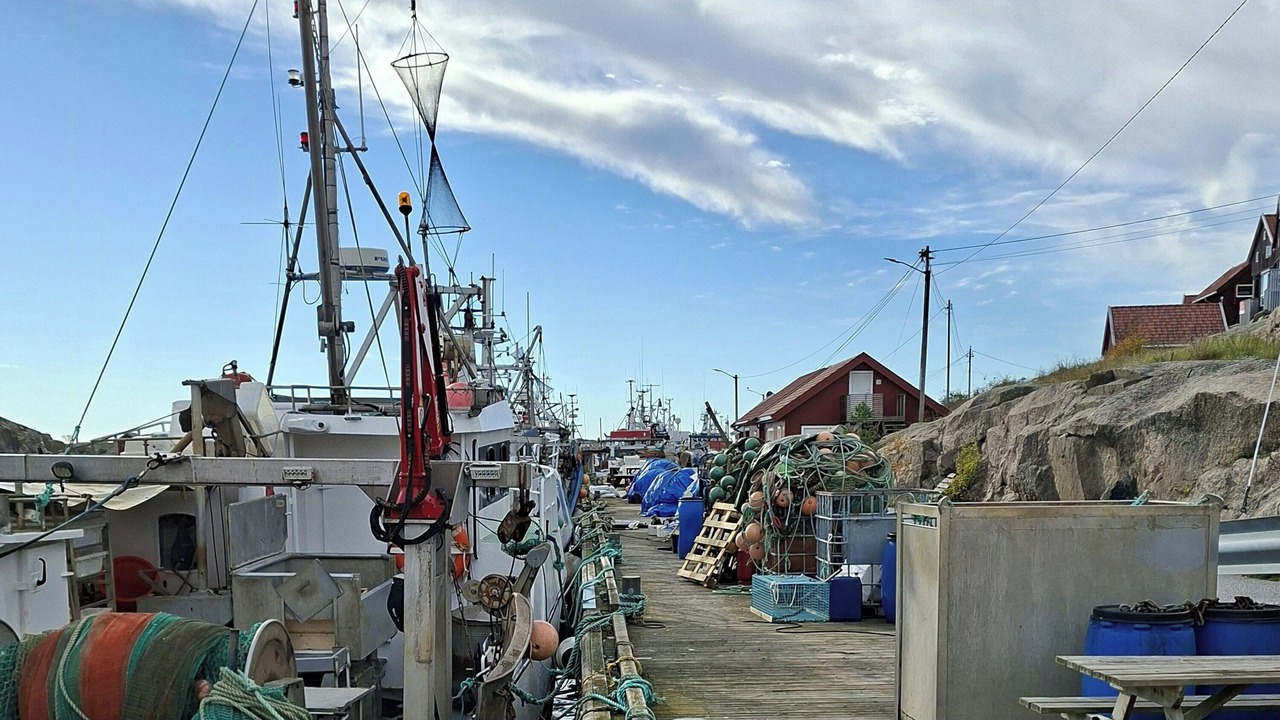 Photo of Others in Hvaler