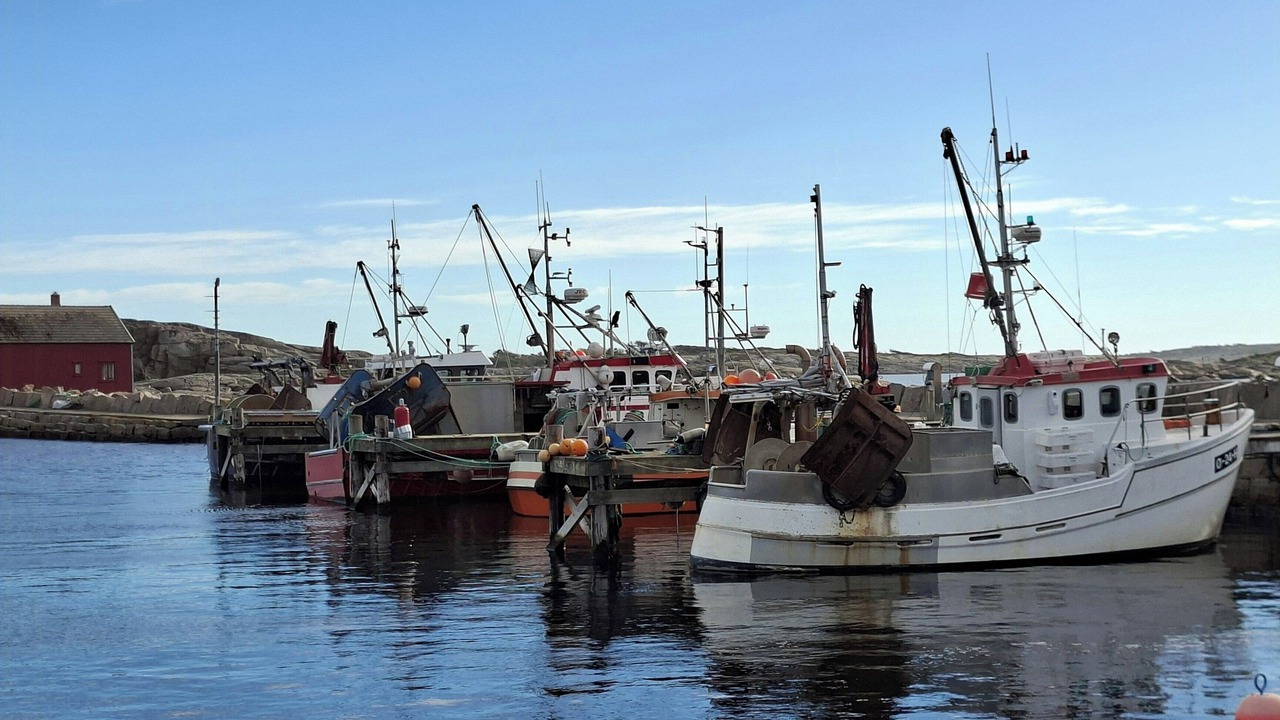 Photo of Others in Hvaler