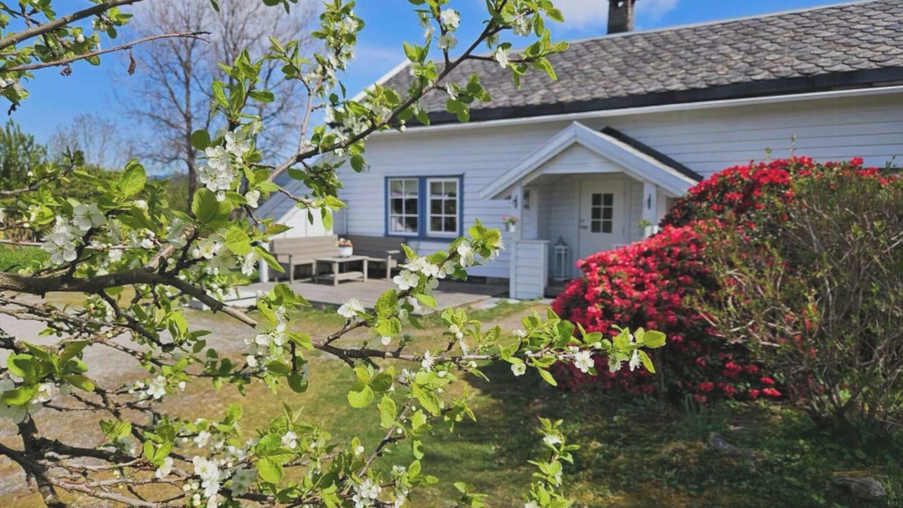 Photo of Outdoor in Lindas
