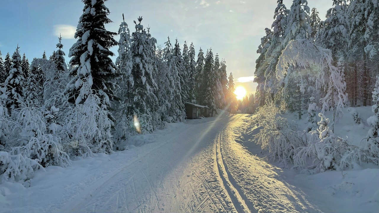 Photo of Others in Trysil