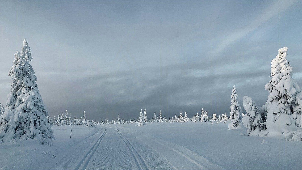 Photo of Others in Grondalen