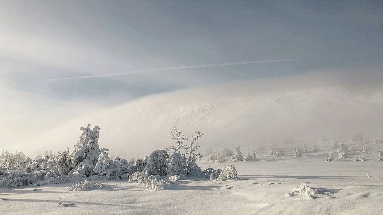 Photo of Others in Grondalen