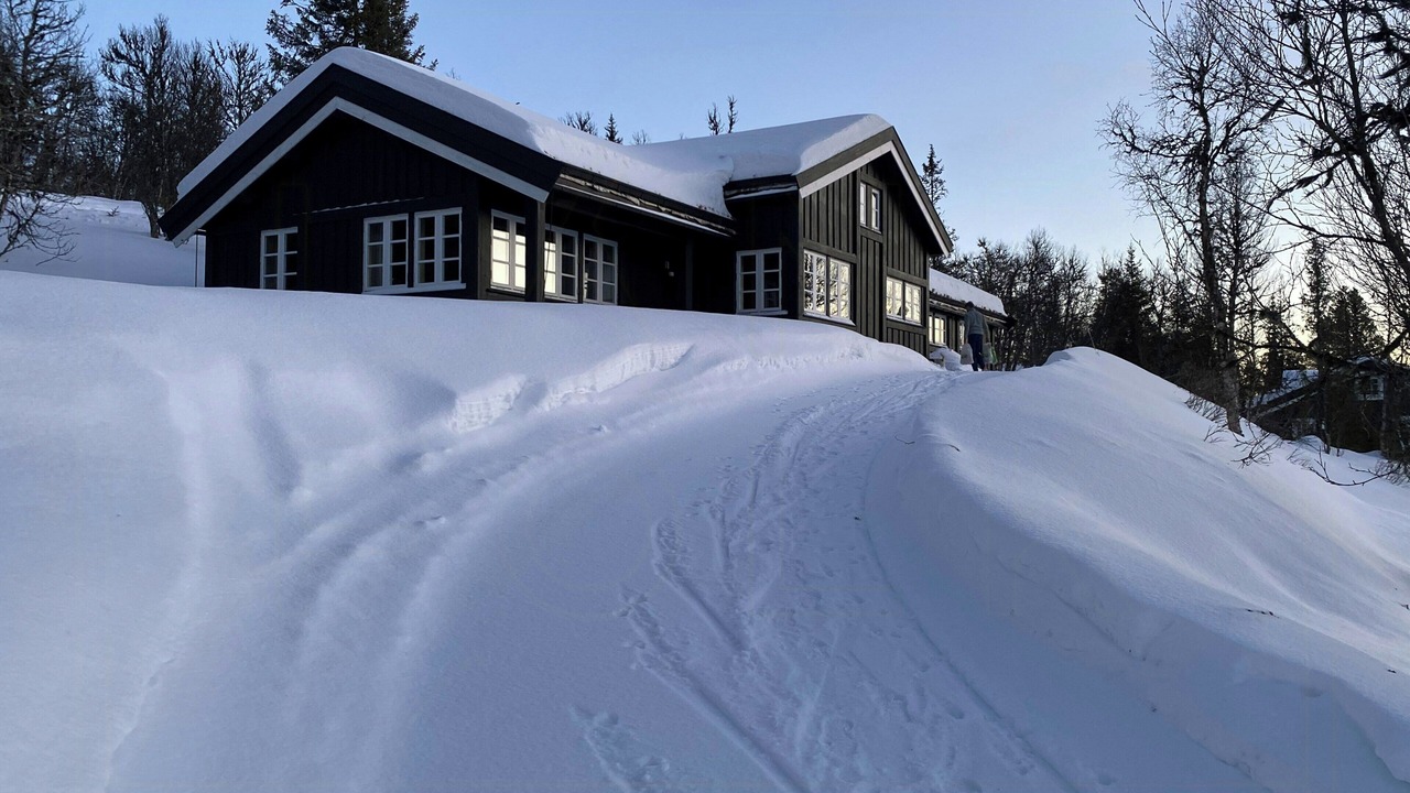 Photo of Outdoor in Gala