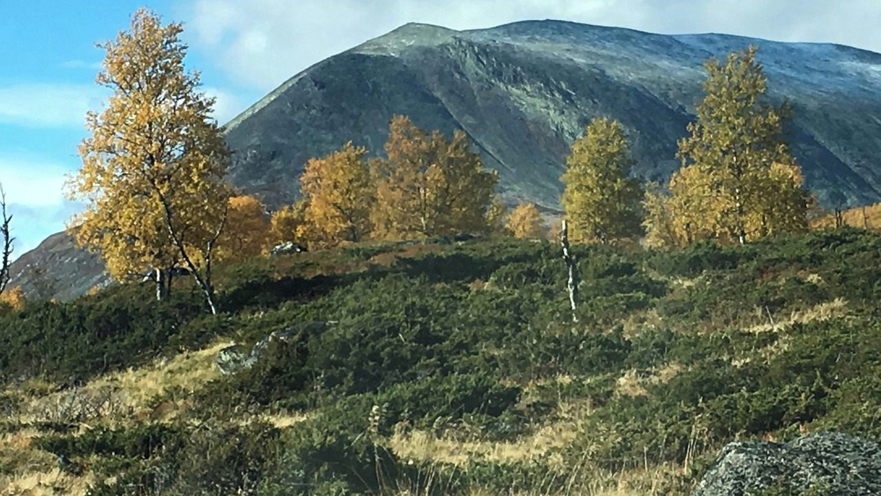 Photo of Others in Nord-Fron