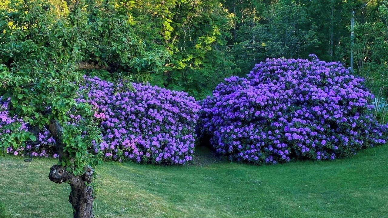Photo of Outdoor in Nacka Municipality
