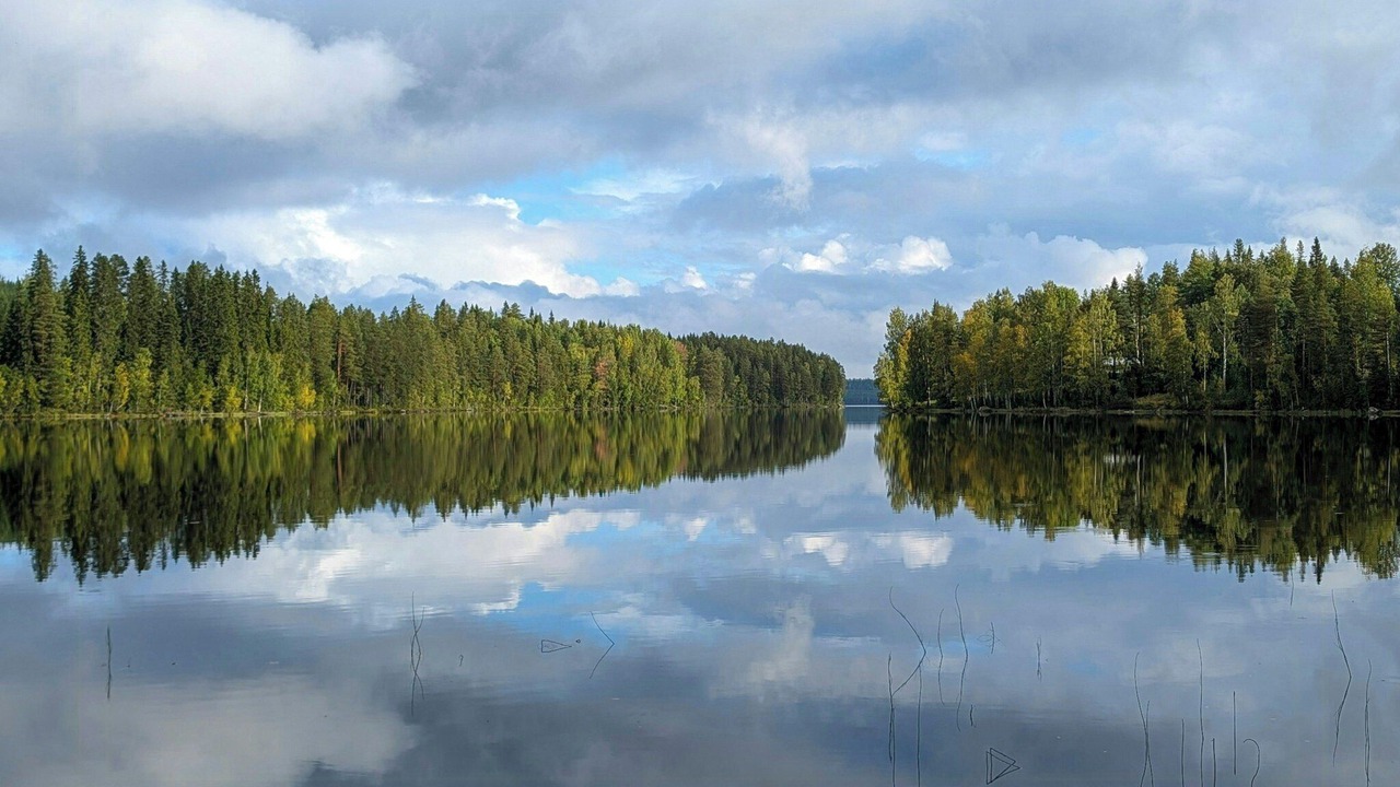 Photo of Others in Trehorningsjo