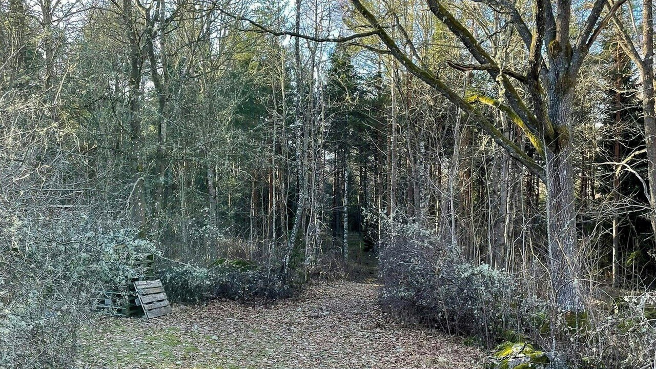 Photo of Outdoor in Hogsby