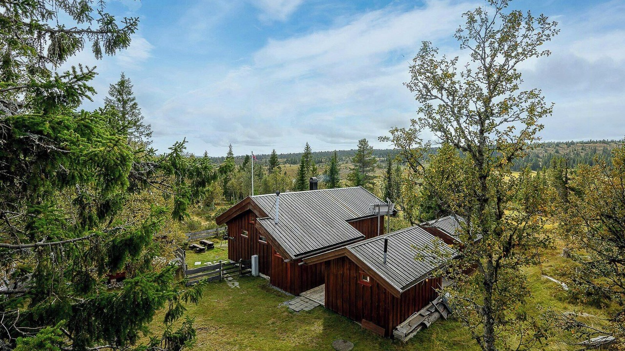 Photo of Outdoor in Oyer