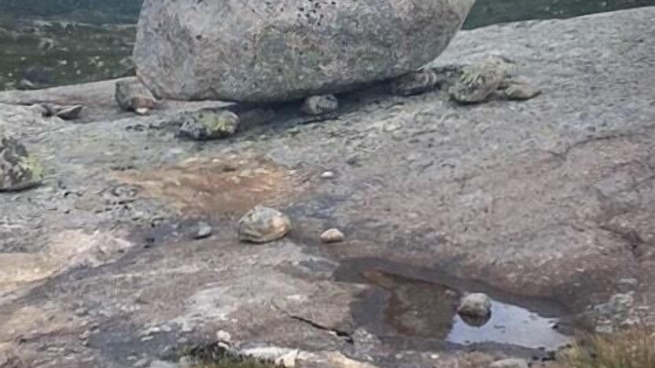 Photo of Others in Ljosland