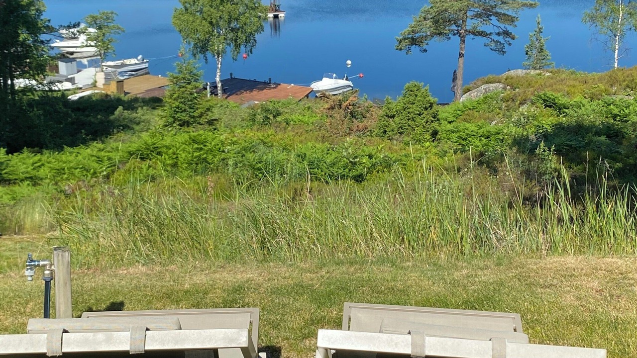 Photo of Outdoor in Vegarshei