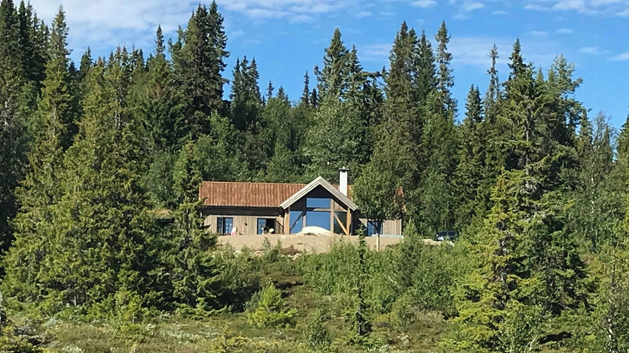 Photo of Outdoor in Al Municipality