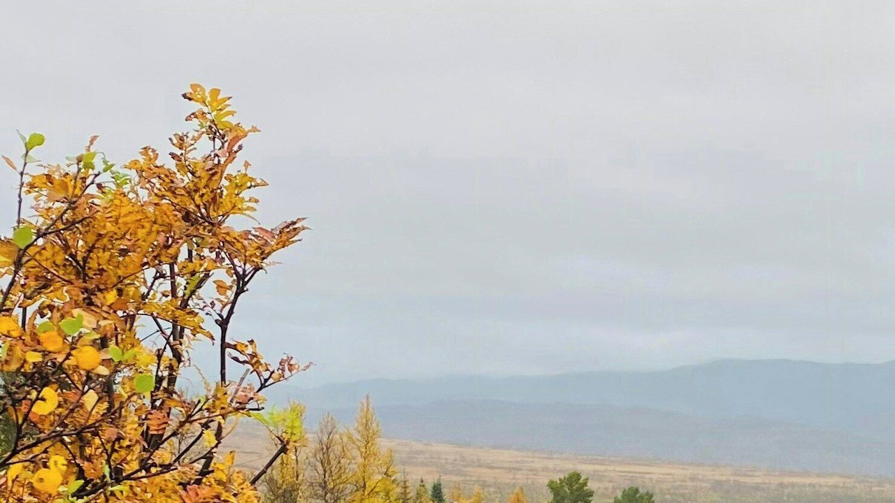 Photo of Others in Hovden