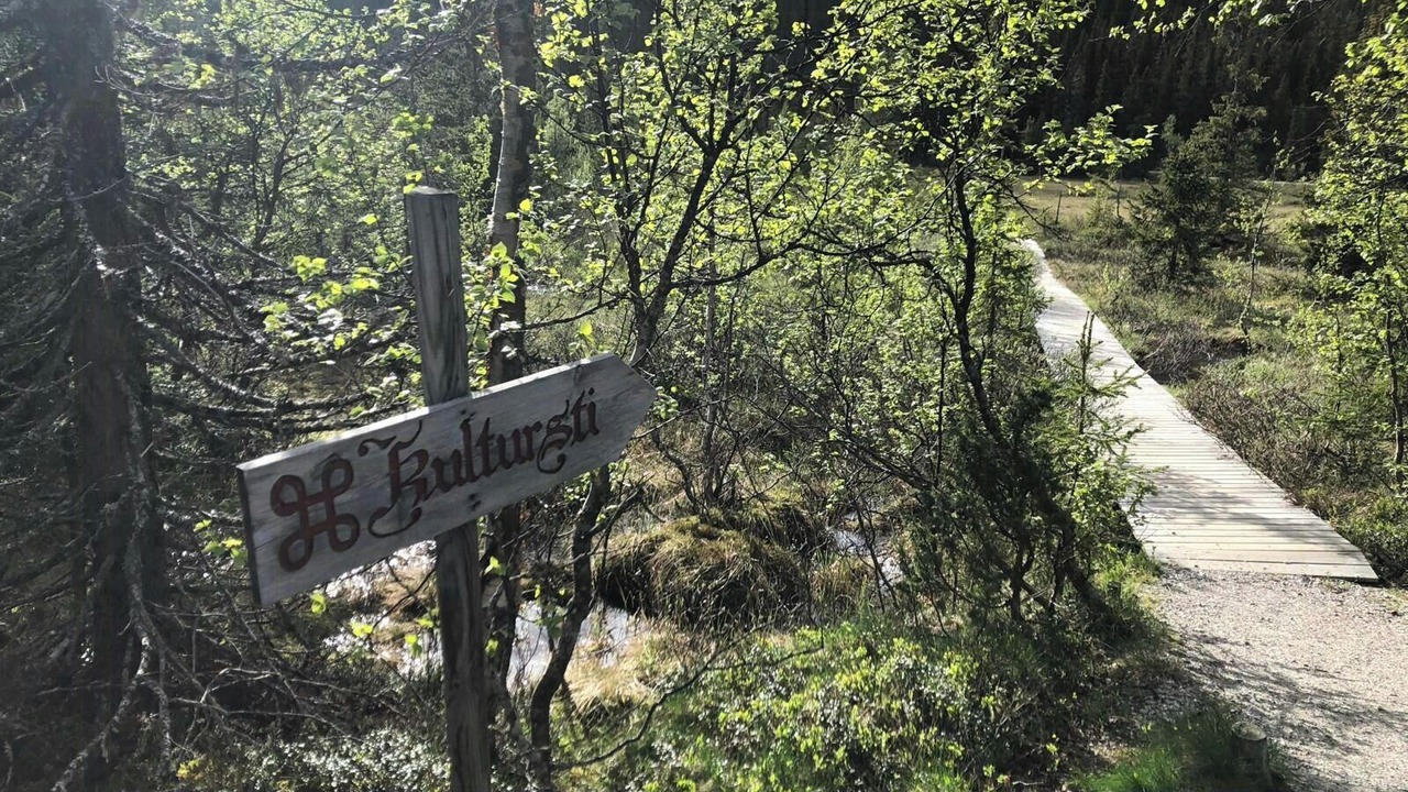 Photo of Outdoor in Fla Municipality