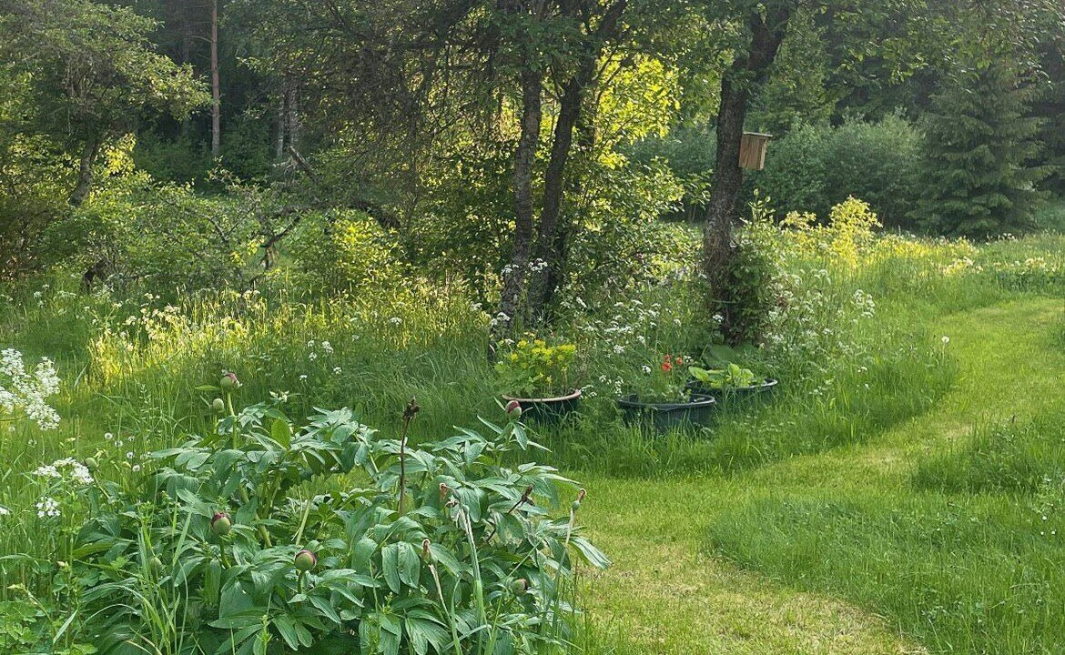 Photo of Outdoor in Hogsby