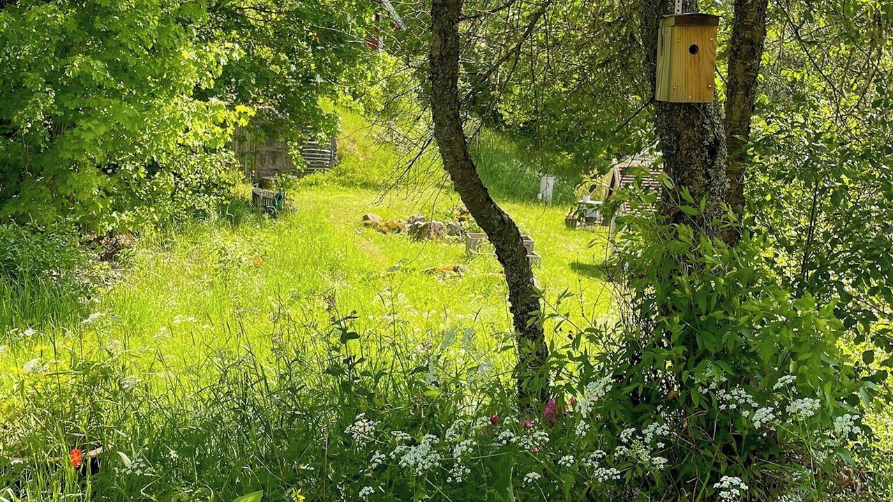Photo of Outdoor in Hogsby
