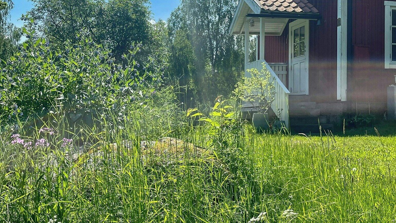Photo of Outdoor in Hogsby