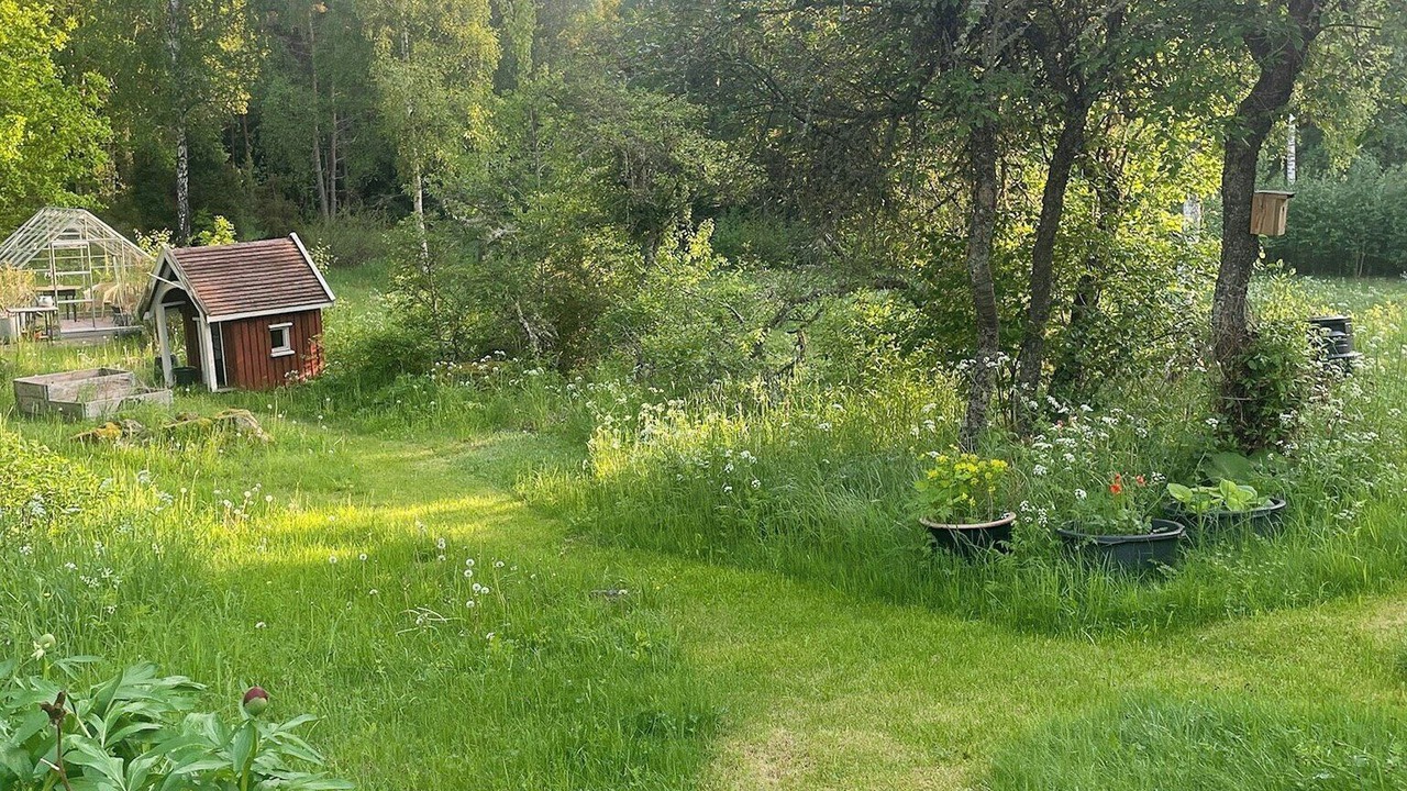 Photo of Outdoor in Hogsby