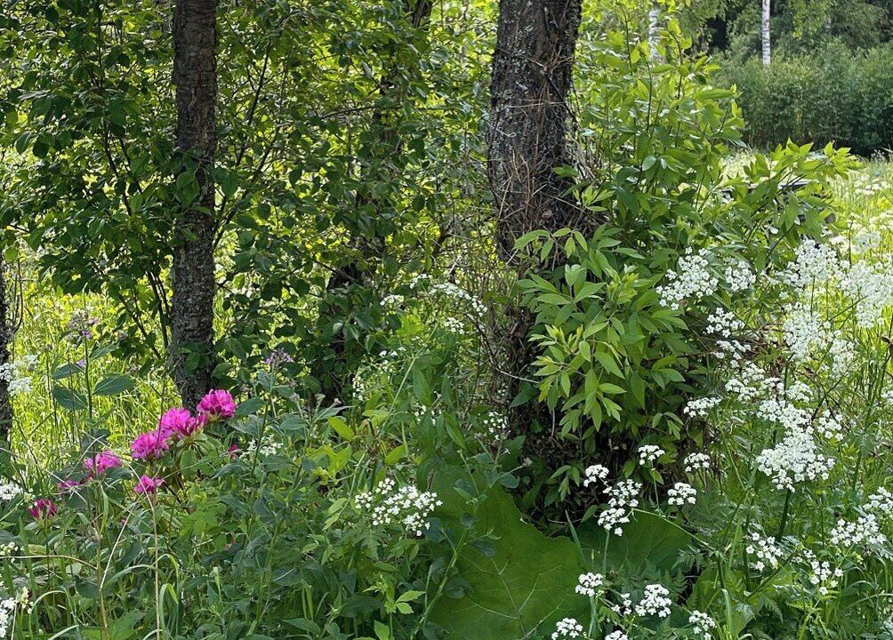 Photo of Outdoor in Hogsby