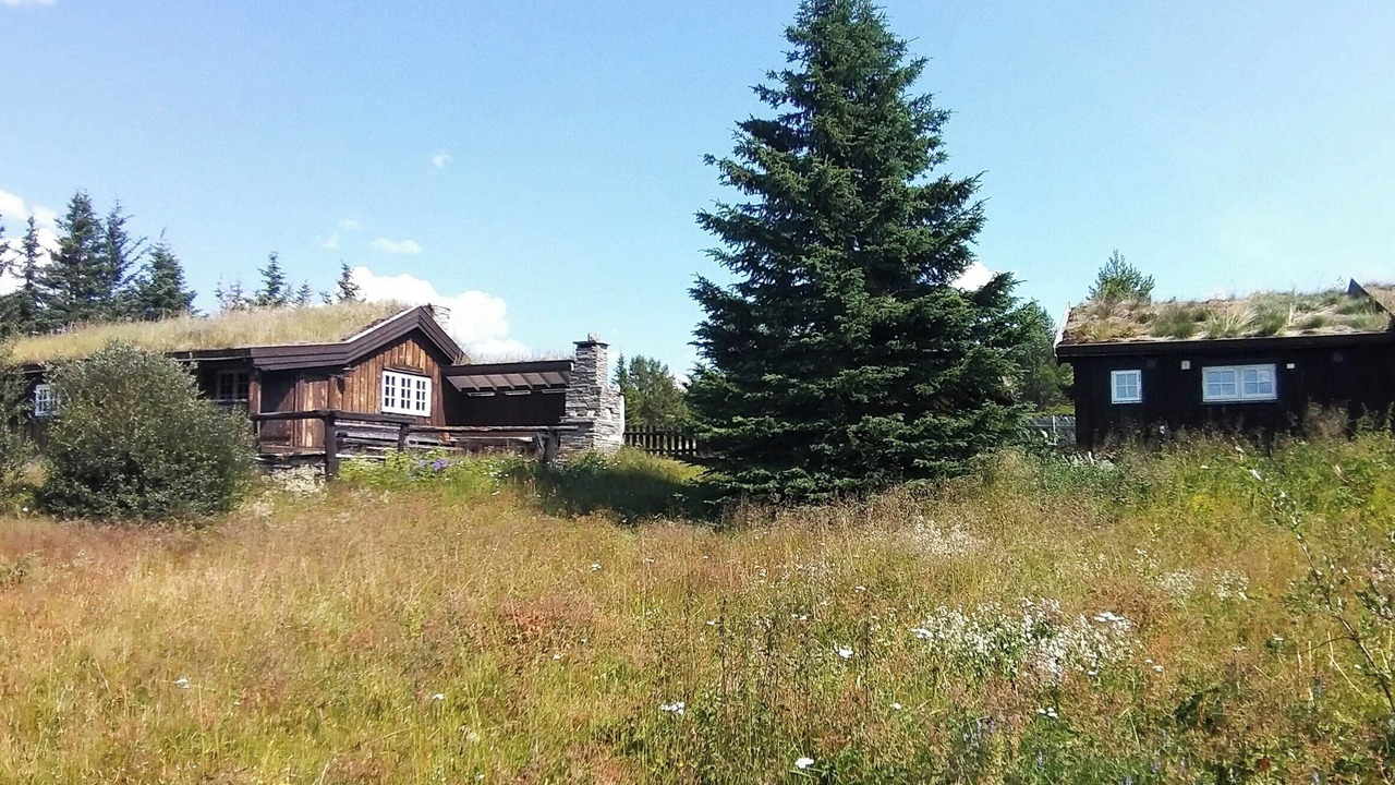 Photo of Outdoor in Sel