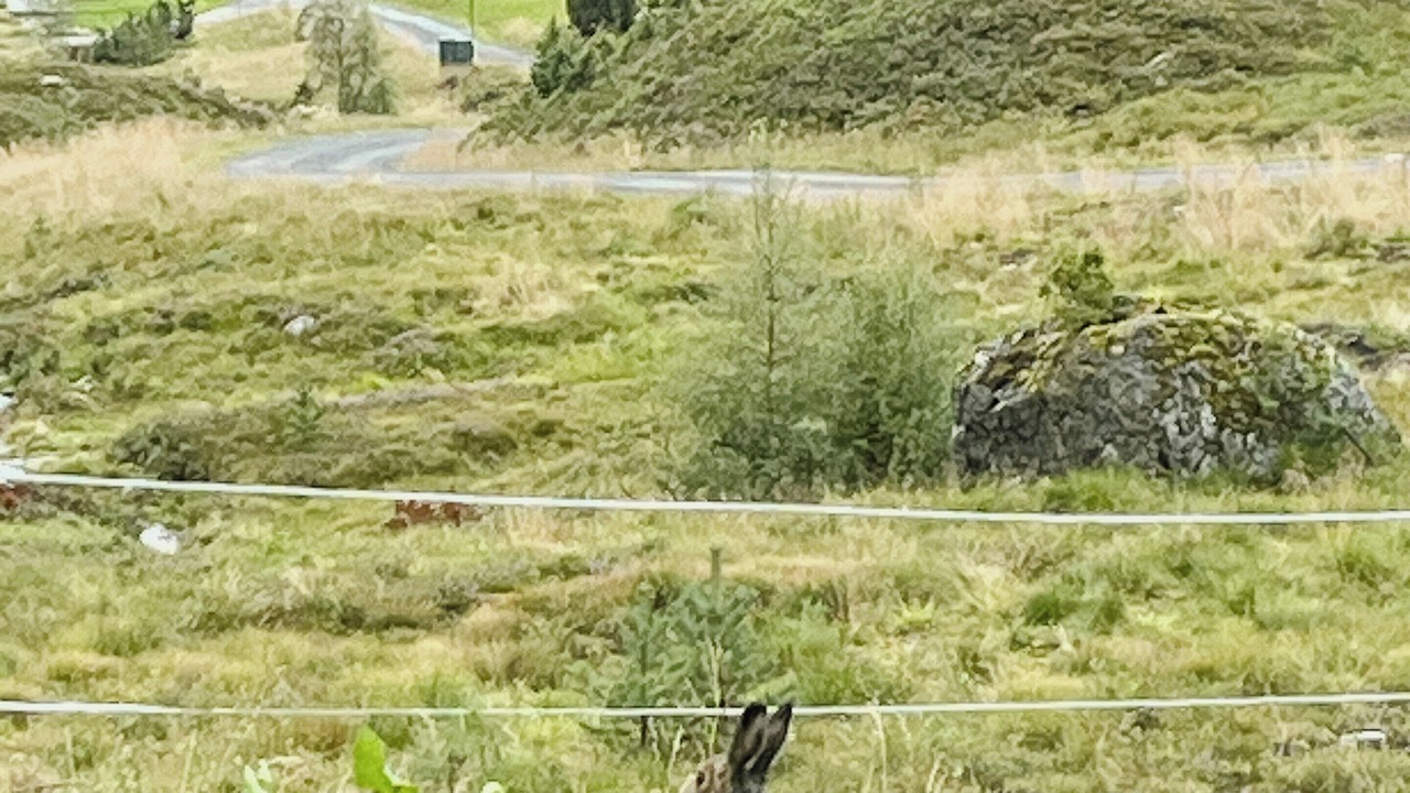 Photo of Outdoor in Stryn