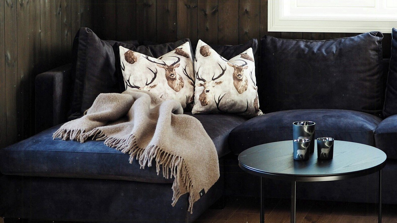 Photo of Livingroom in Vang