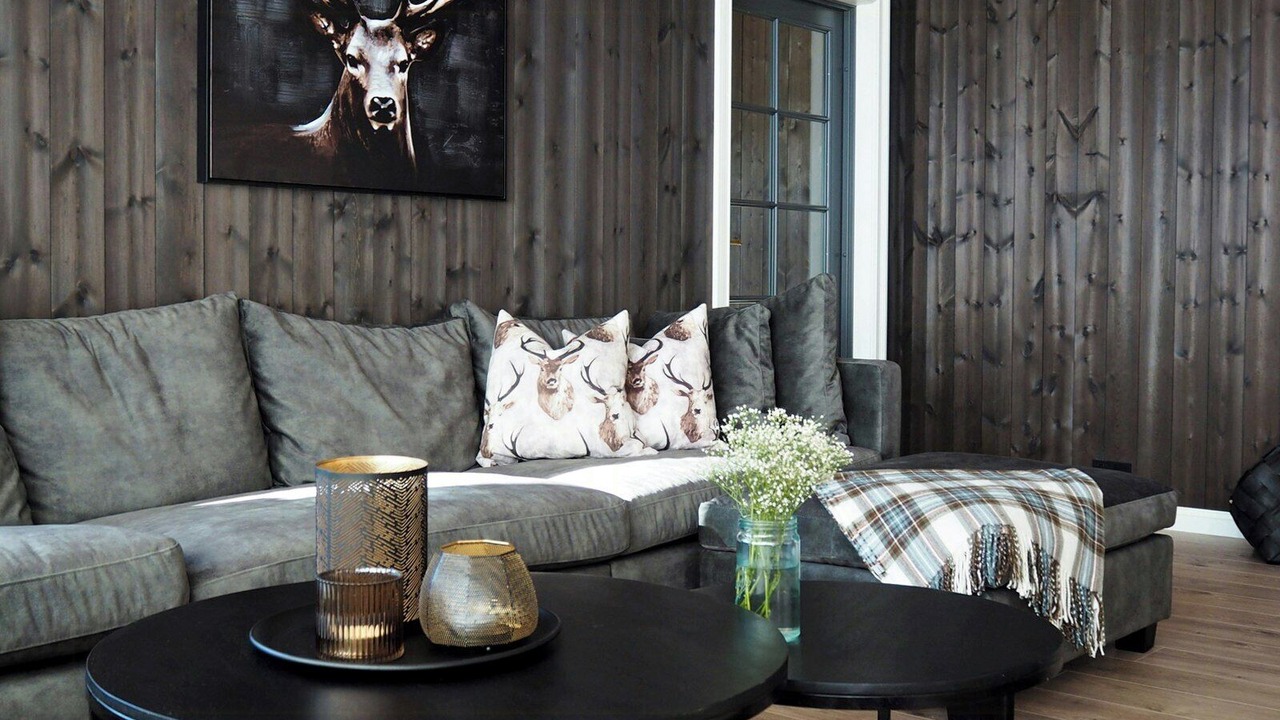 Photo of Livingroom in Vang