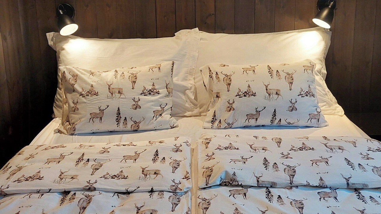 Photo of Bedroom in Vang