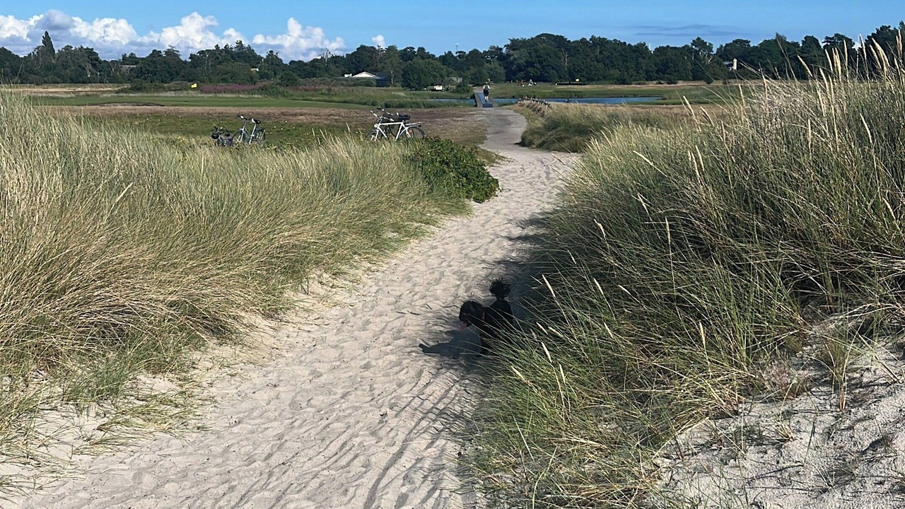 Photo of Others in Skanor-Falsterbo