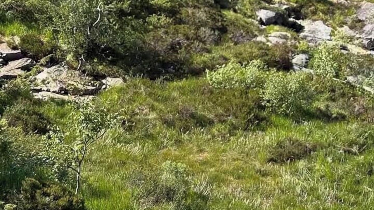 Photo of Others in Sirdal