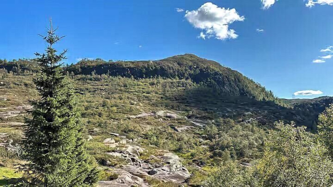 Photo of Others in Sirdal