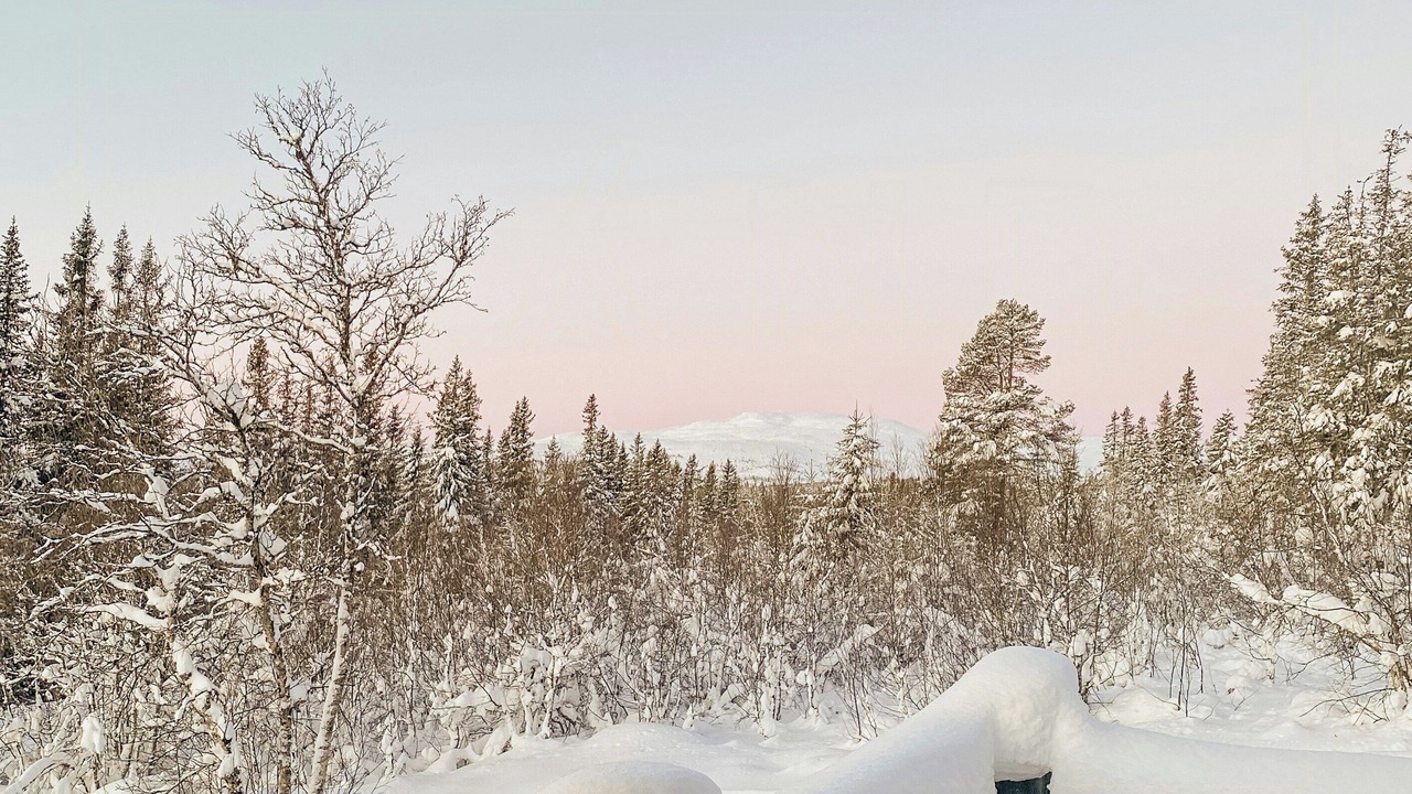 Photo of Outdoor in Nore og Uvdal