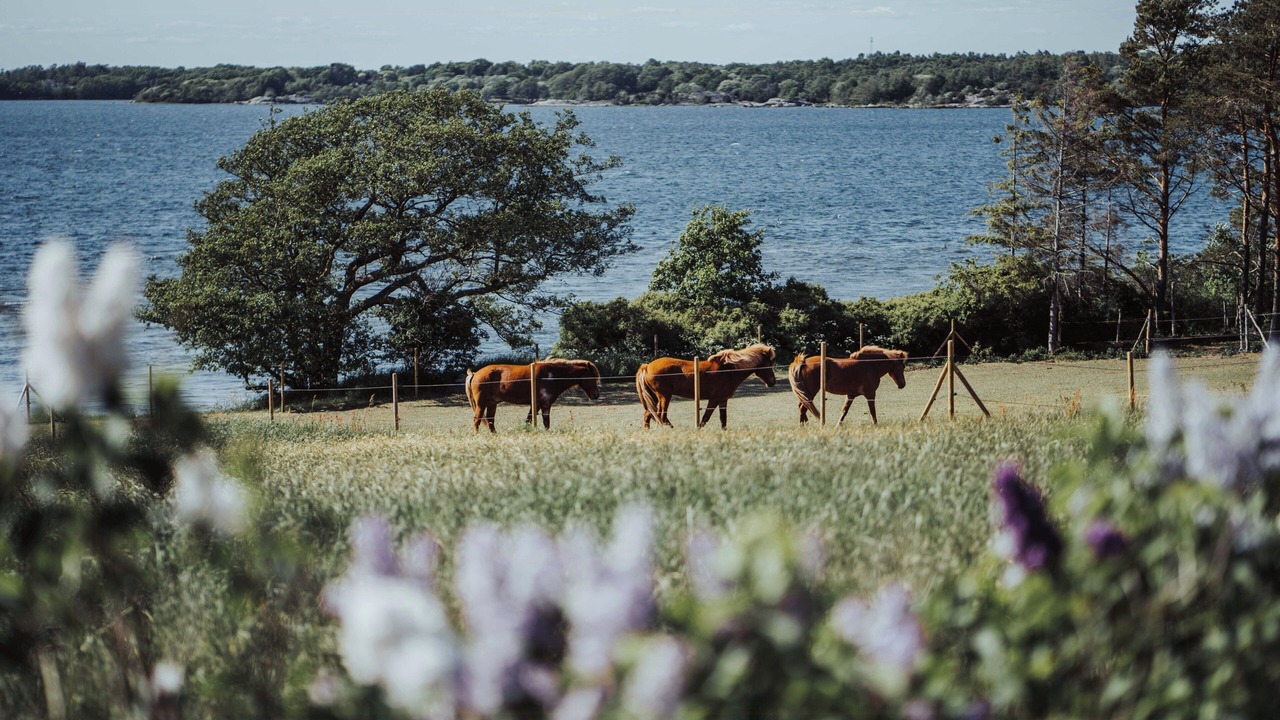 Photo of Others in Karlskrona Municipality