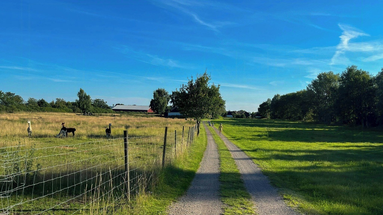 Photo of Others in Jonstorp