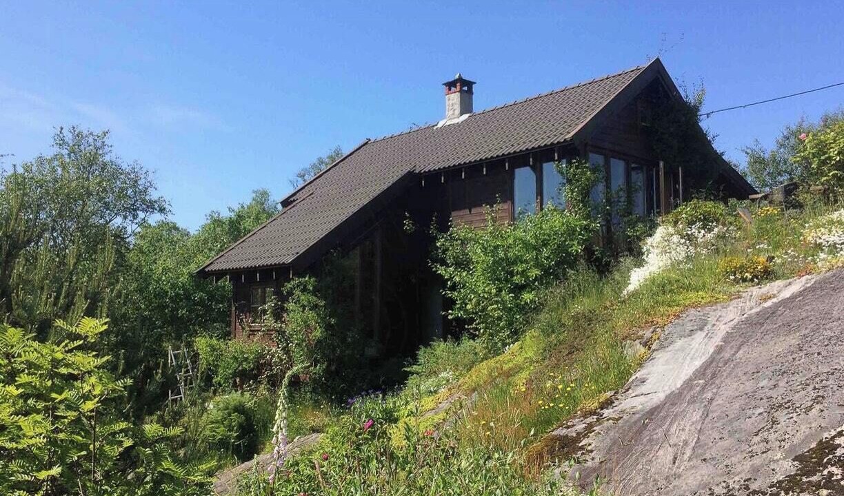 Photo of Outdoor in Onglavika