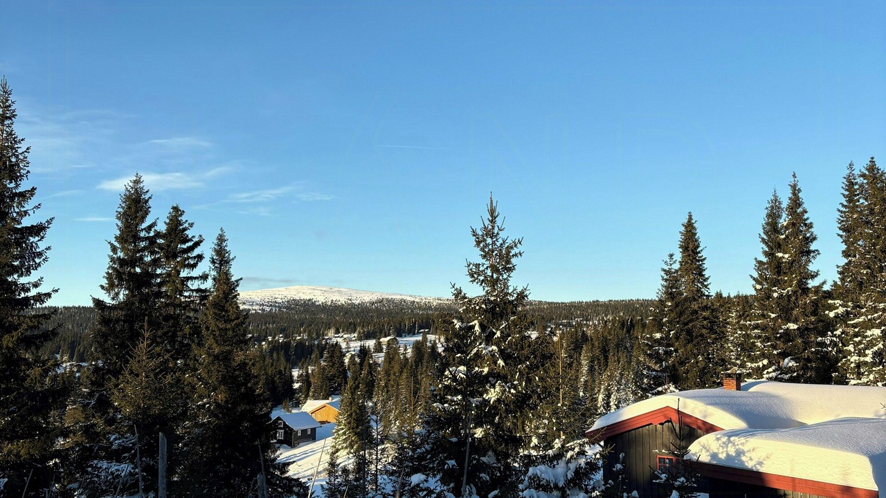 Photo of Others in Lillehammer