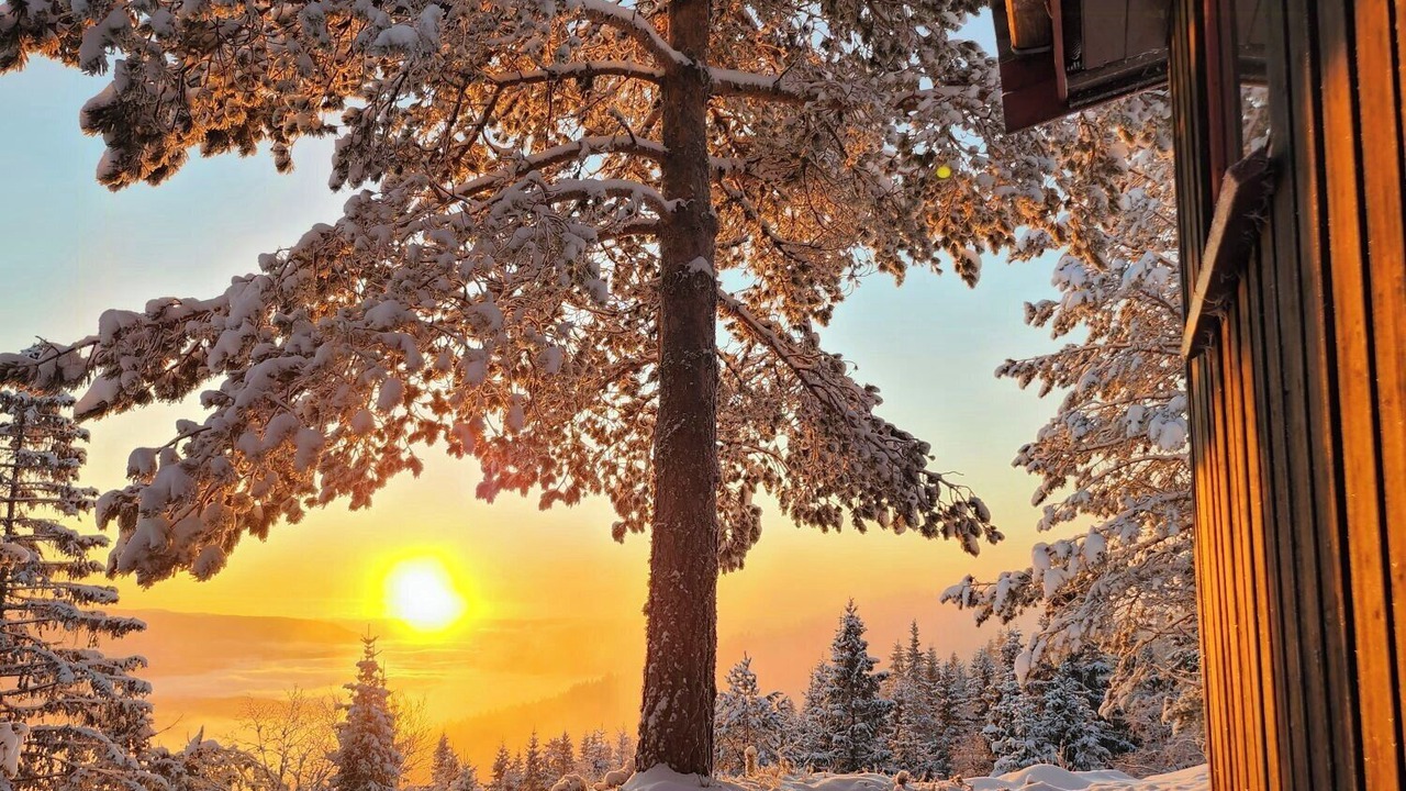 Photo of Outdoor in B