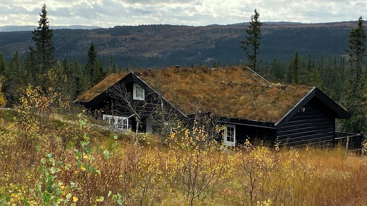 Photo of Outdoor in Nord-Torpa