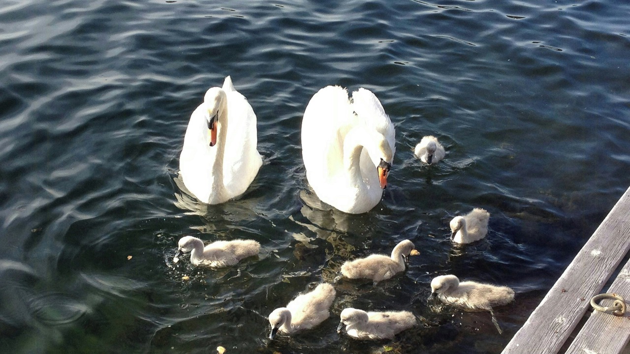 Photo of Others in Bamble