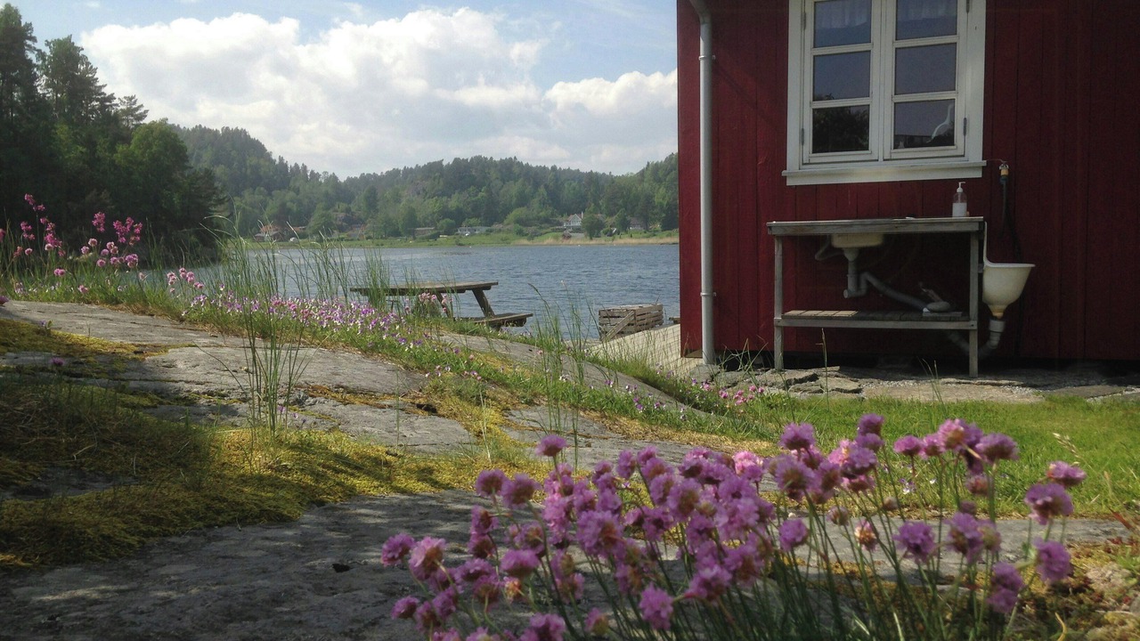 Photo of Outdoor in Bamble