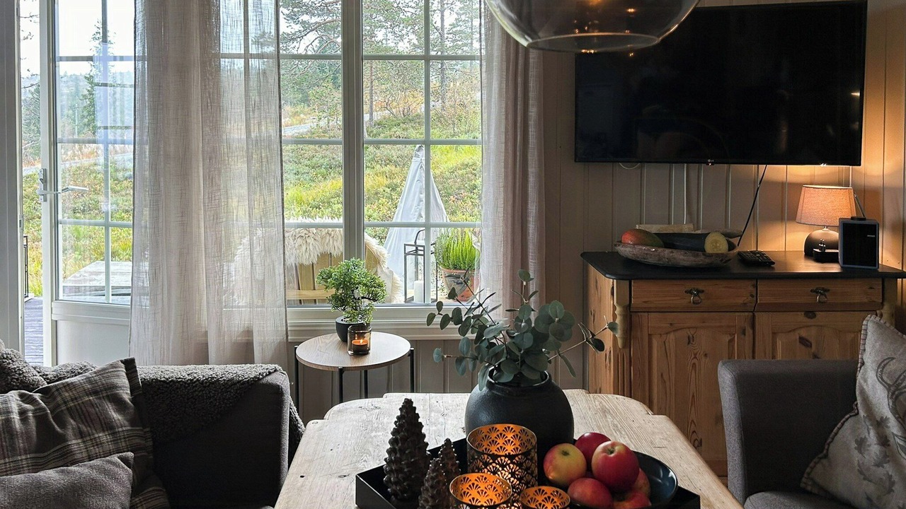 Photo of Livingroom in Flesberg