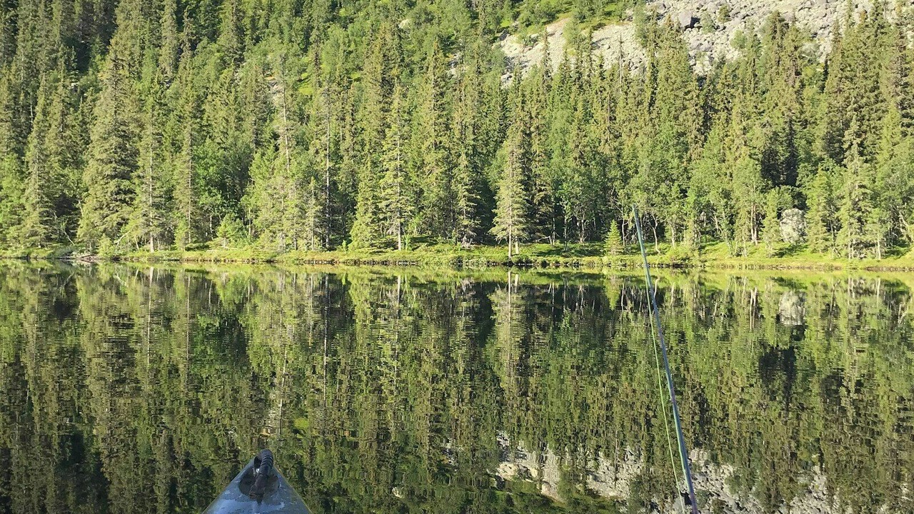 Photo of Others in Sor-Aurdal