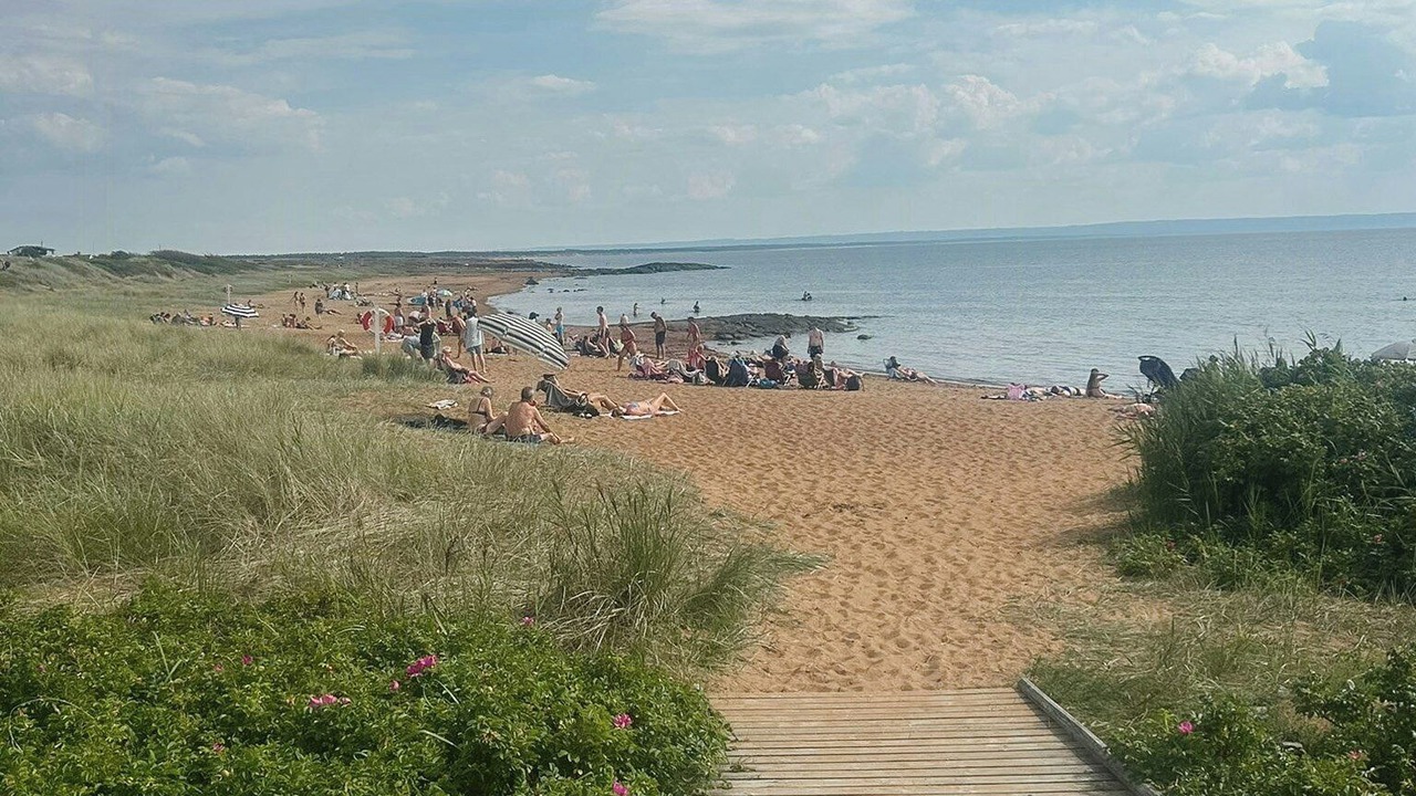 Photo of Others in Halmstad