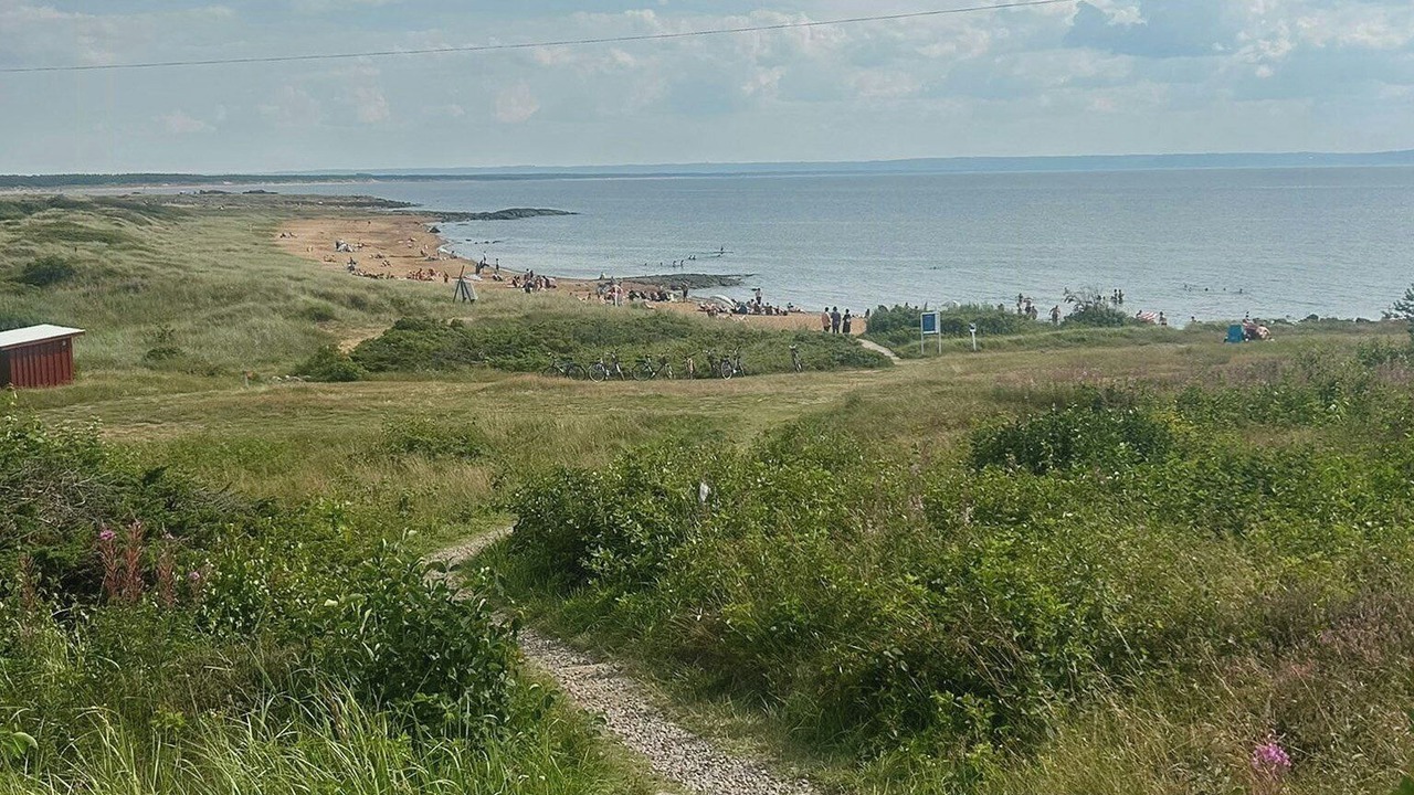 Photo of Others in Halmstad