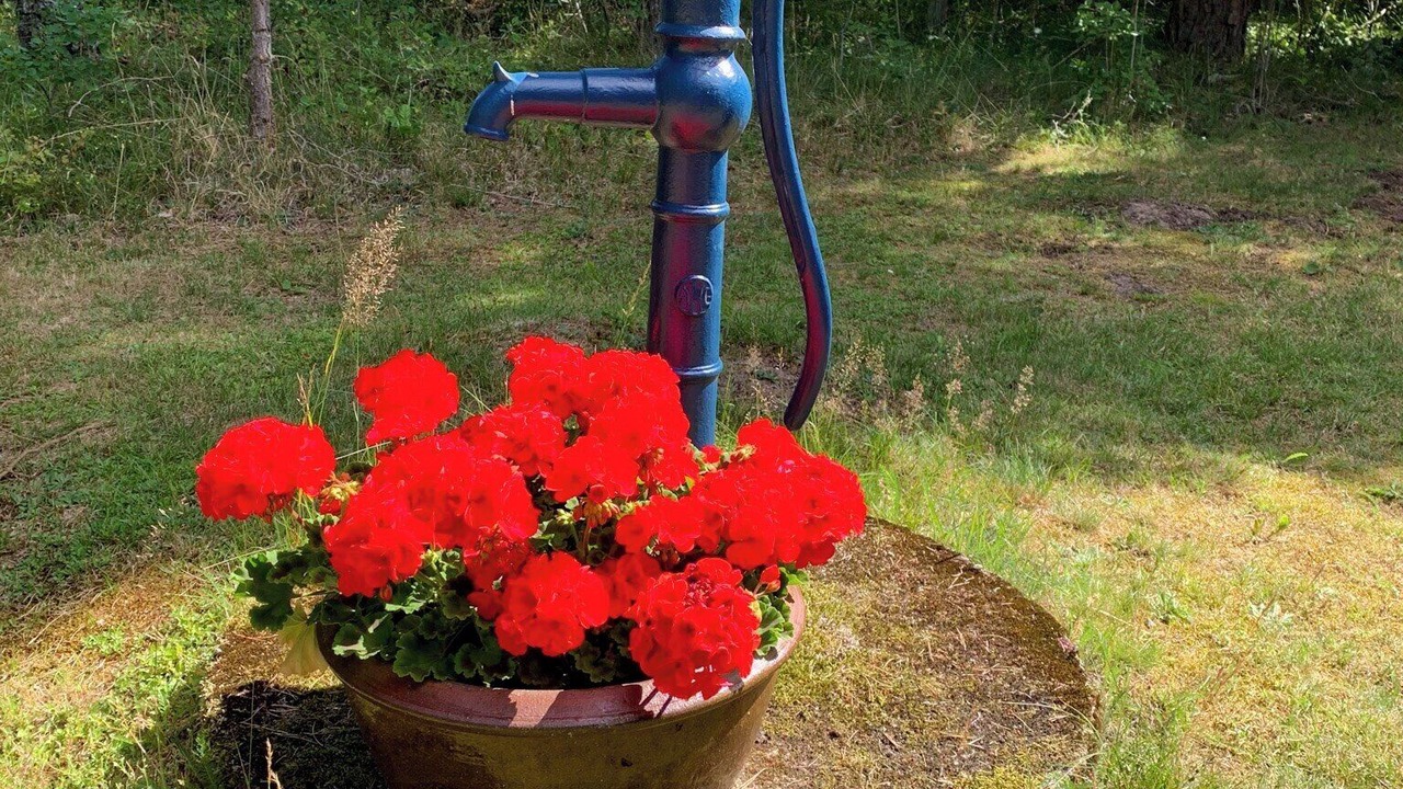 Photo of Outdoor in Heberg