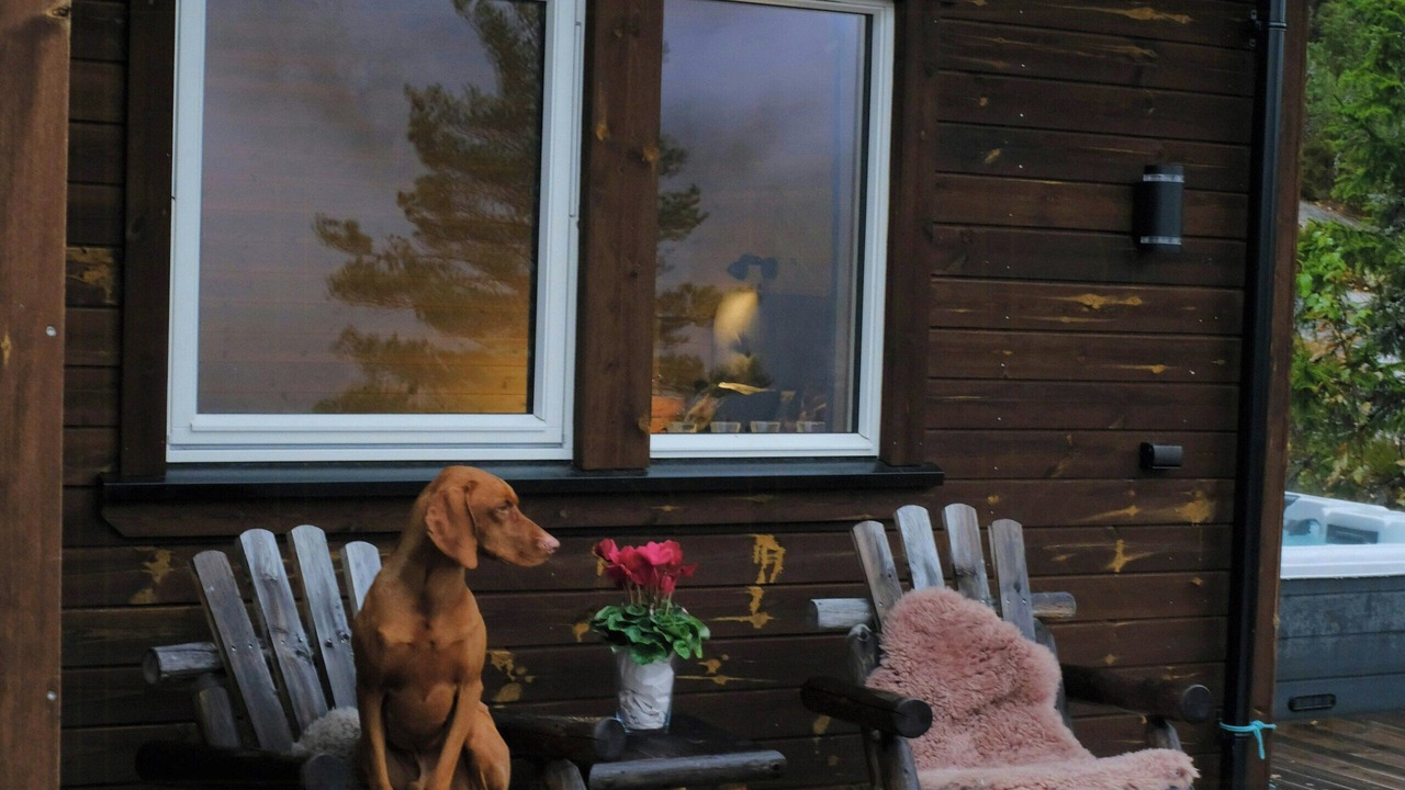 Photo of Patio Balcony in Hjartdal Municipality